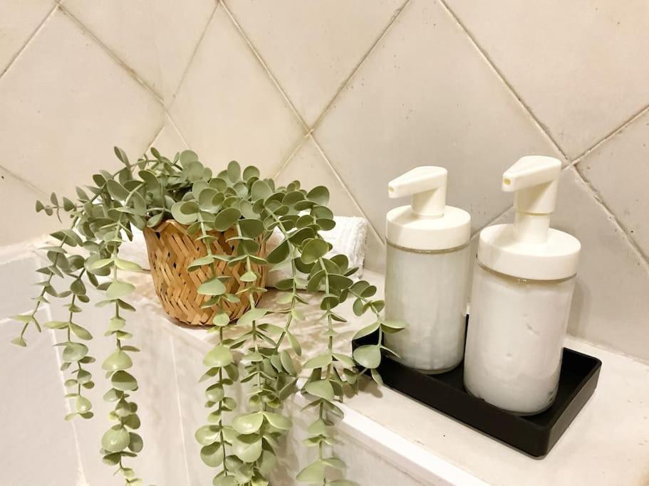 Ks Costa Mayka - San Jose - Kaleria Suites Eksteriør bilde