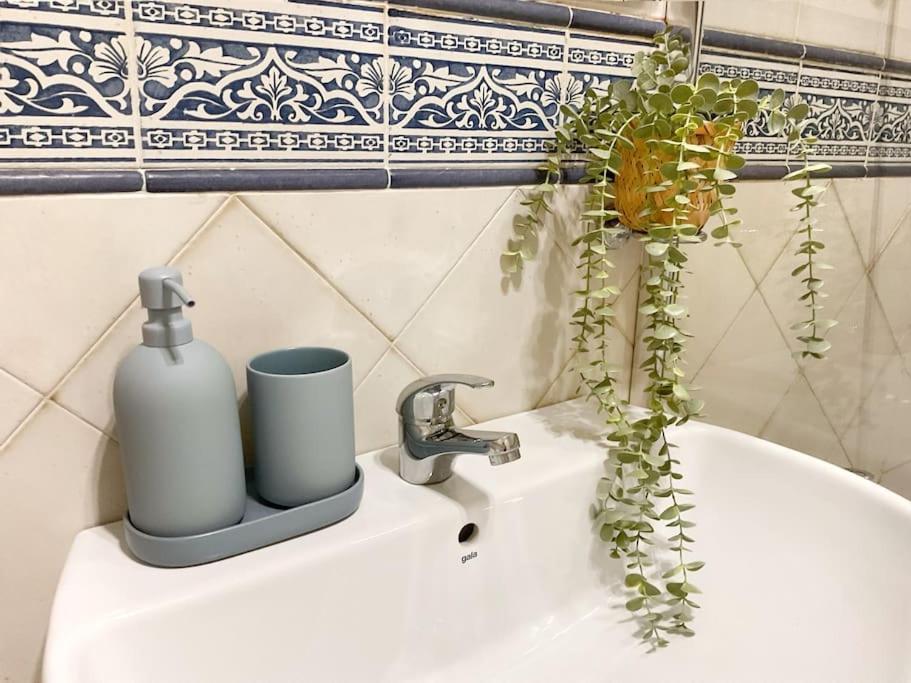 Ks Costa Mayka - San Jose - Kaleria Suites Eksteriør bilde